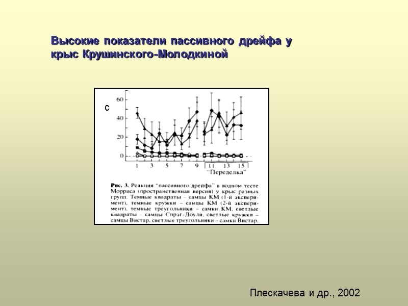 Высокие показатели пассивного дрейфа у крыс Крушинского-Молодкиной Плескачева и др., 2002